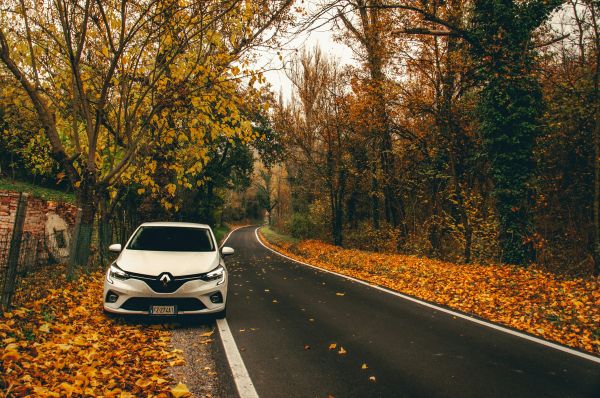 Les meilleures options d'assurance pour une Renault Zoé